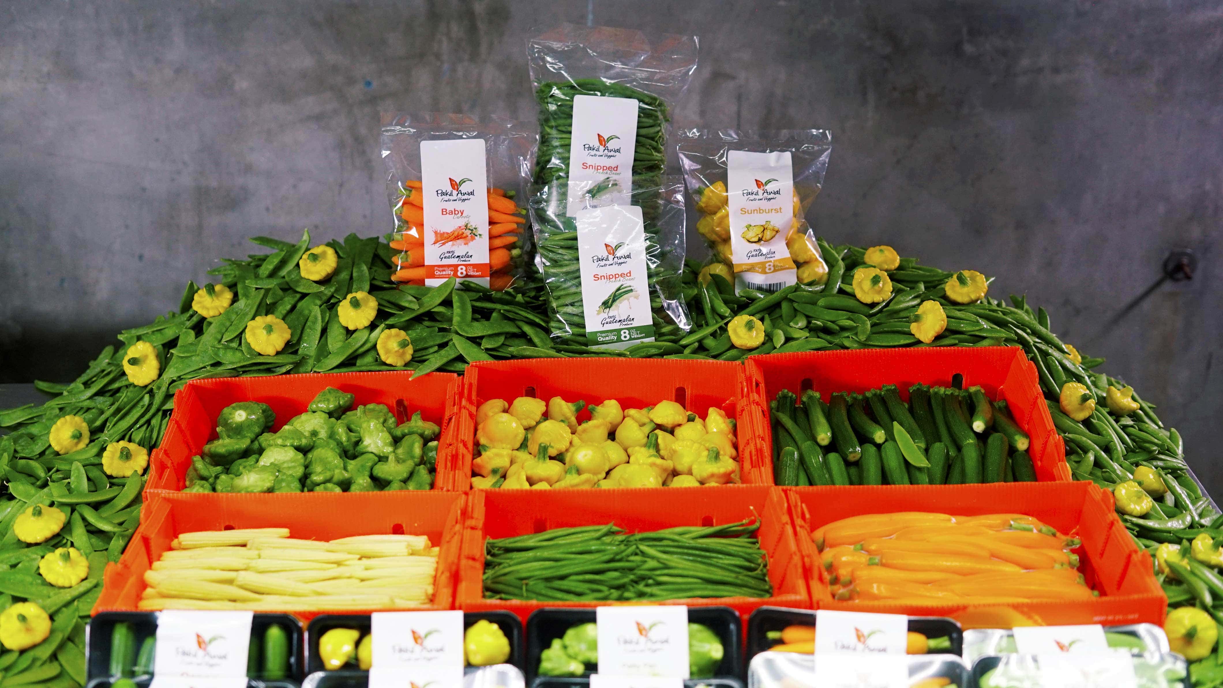 Productos PakilAwal
