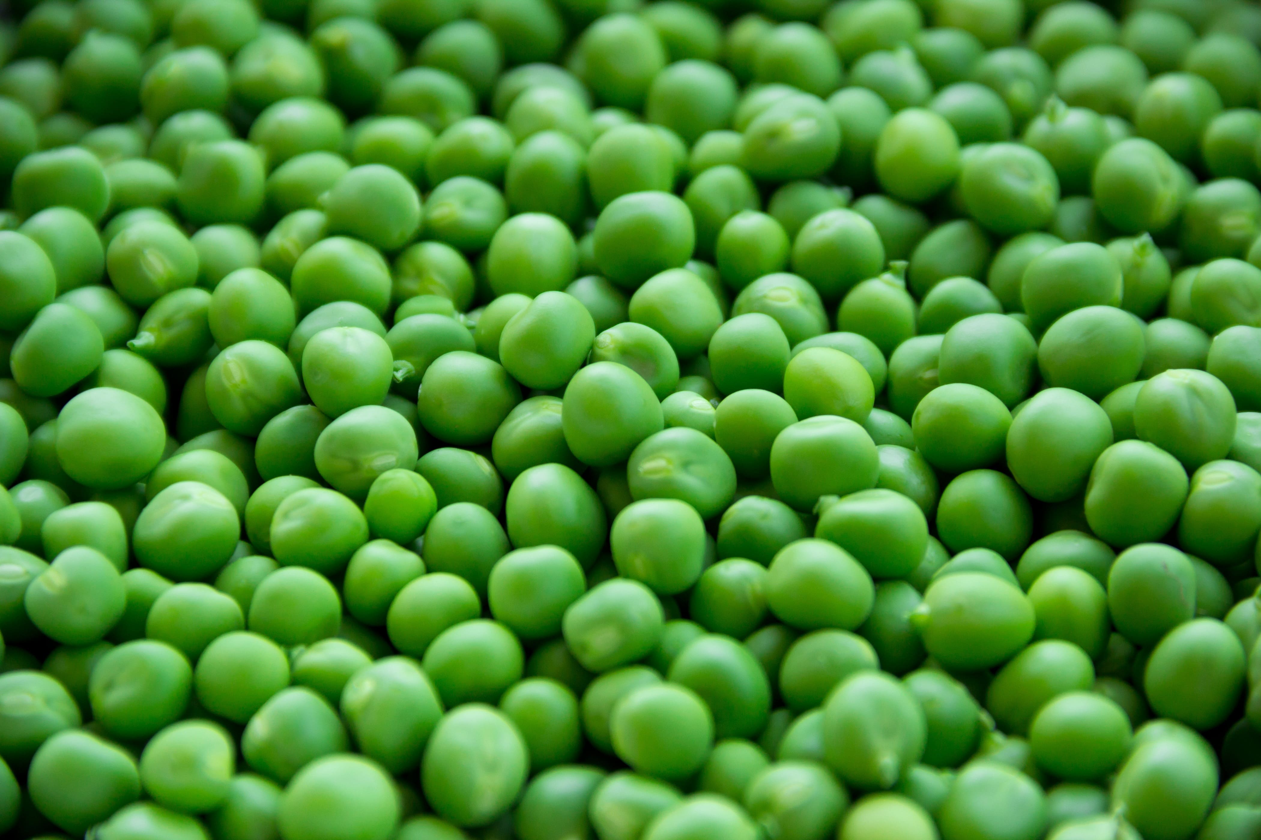 arveja-en-grano