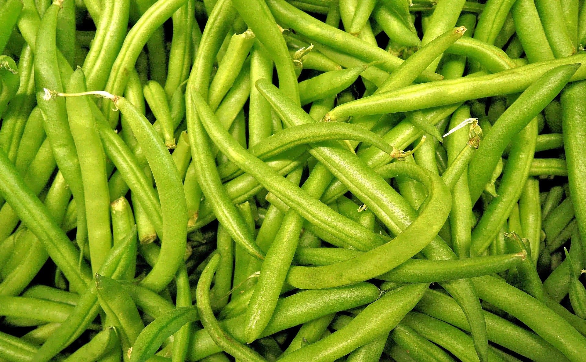green-bean